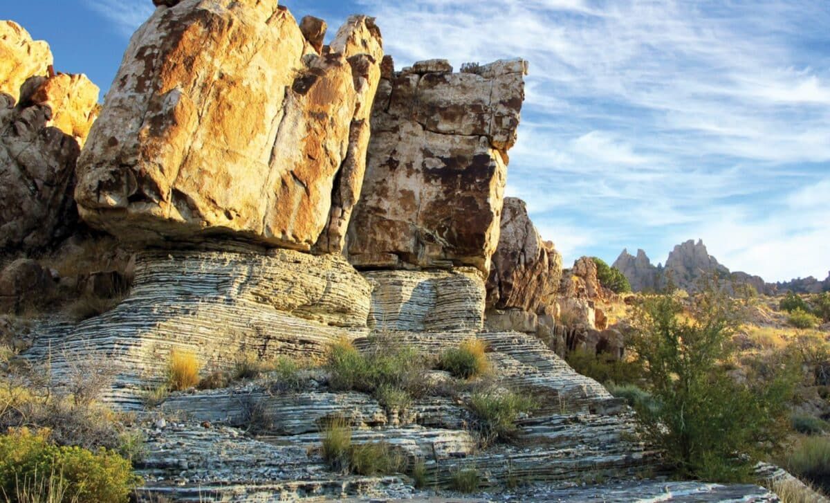 Scientists Found an Exceptionally Preserved Fossil in Utah. Then Noticed Something No One Expected