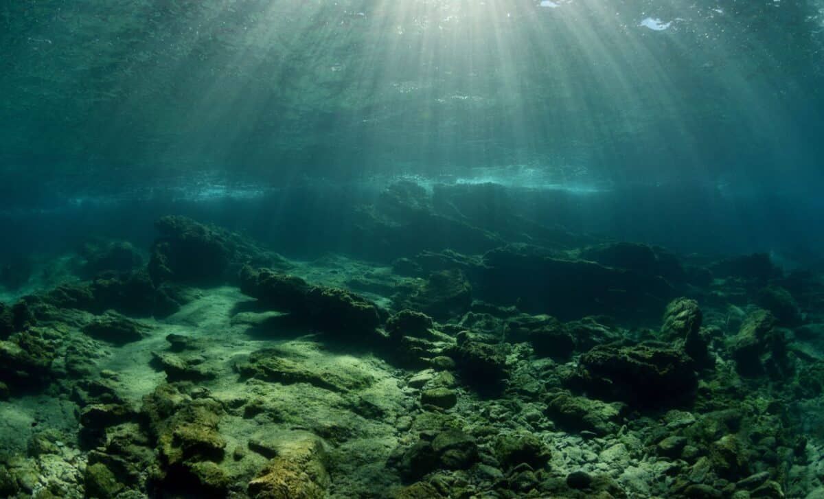 A Remote Lake Sealed Off Since the Ice Age Became Home to Millions of Jellyfish Found Nowhere Else on Earth