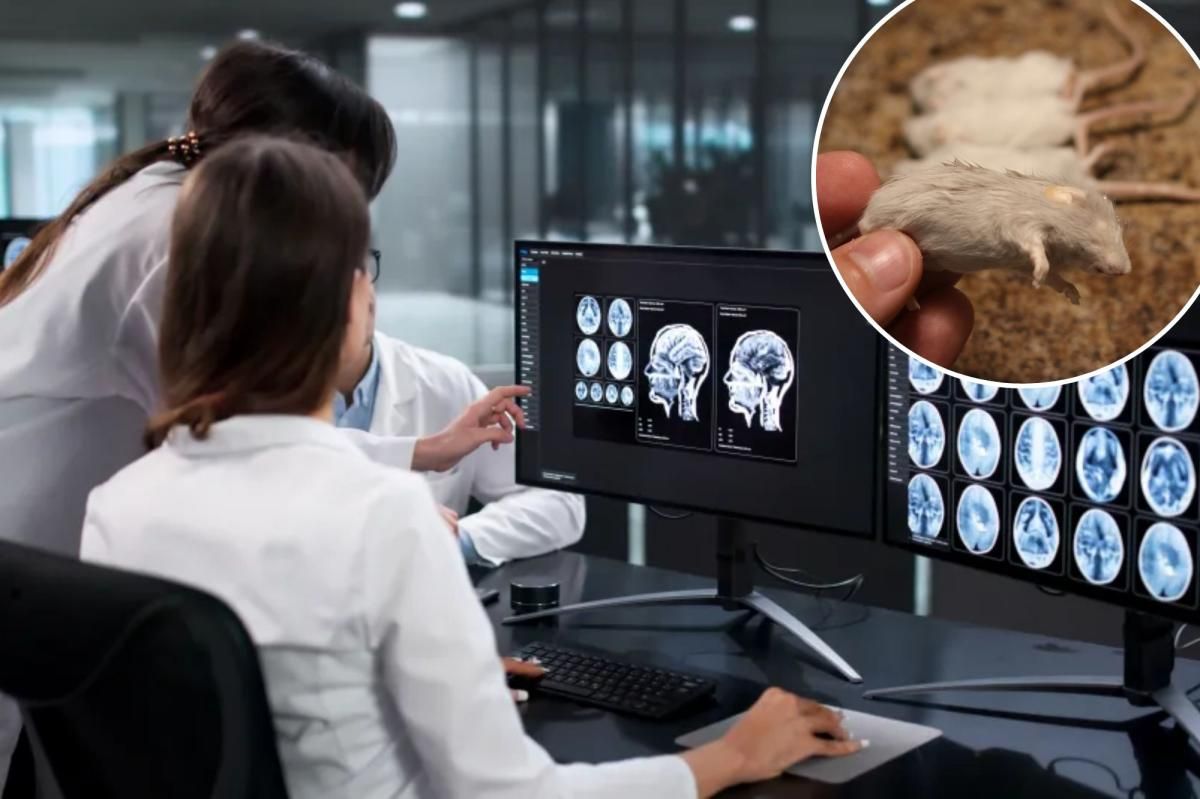 Scientists revive frozen brain activity in cryosleep leap