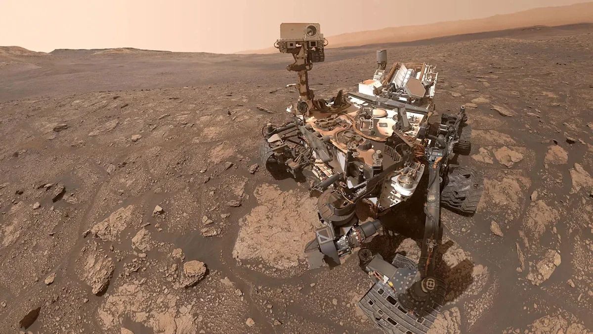 Fungal strains in space spark worry