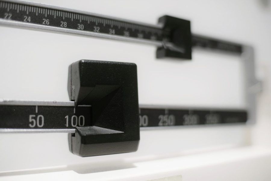 Immune cells leave ‘memory’ of obesity after weight loss