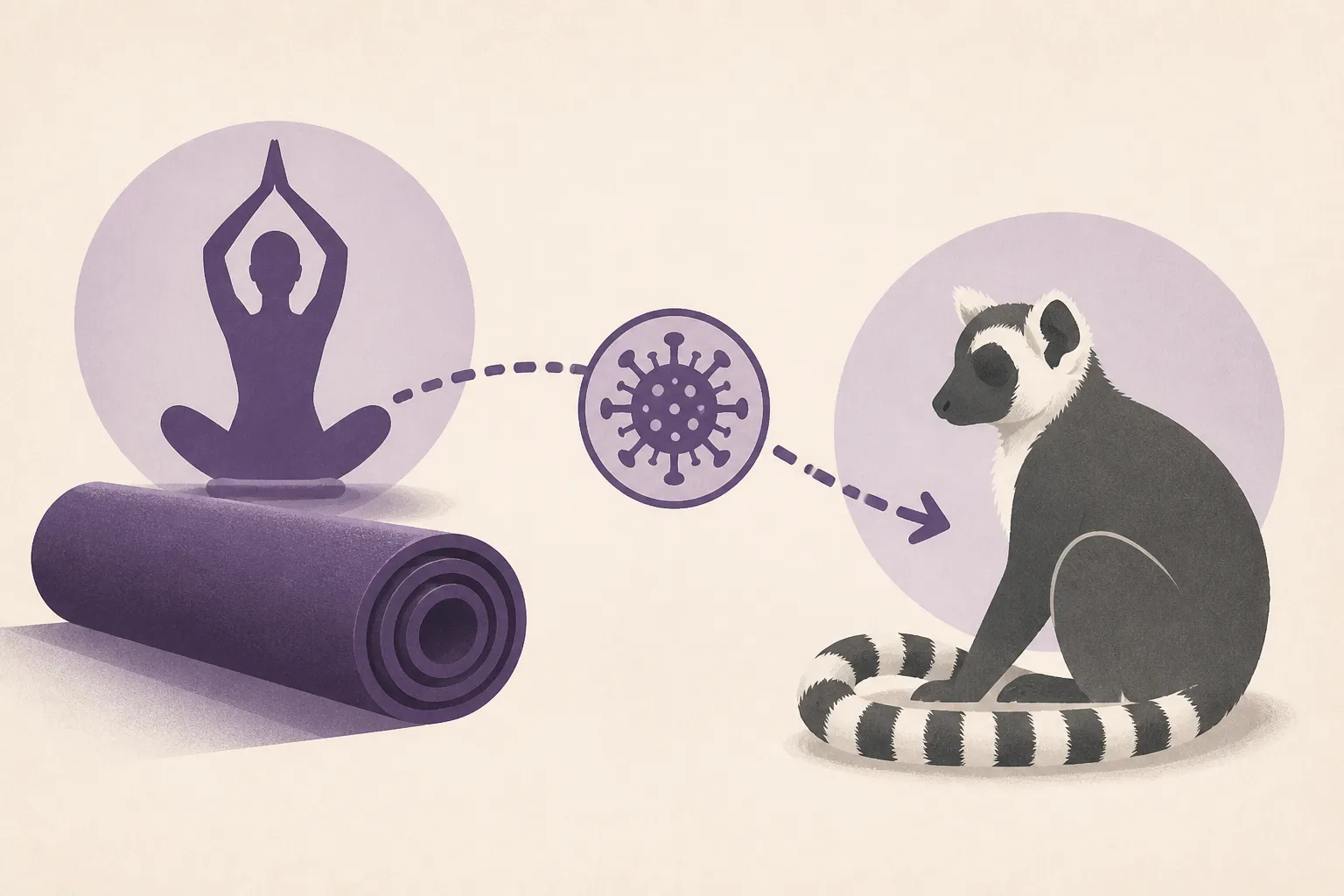 Vets Traced a Lemur's Fatal Herpes Infection Back to a Yoga Class
