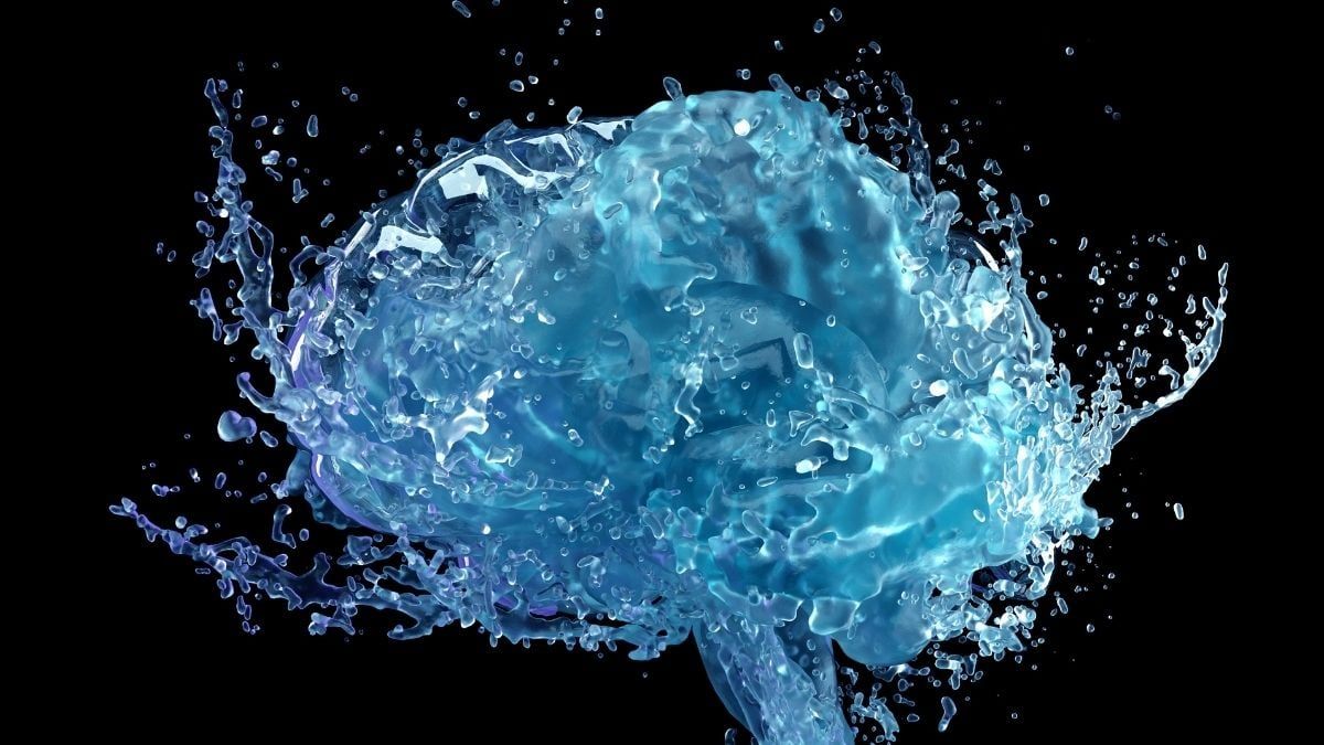 Movement Triggers a Hidden 'Brain Cleaning' Mechanism, Study Shows